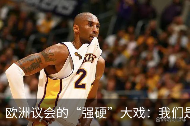欧洲议会的“强硬”大戏：我们是对手还是朋友？